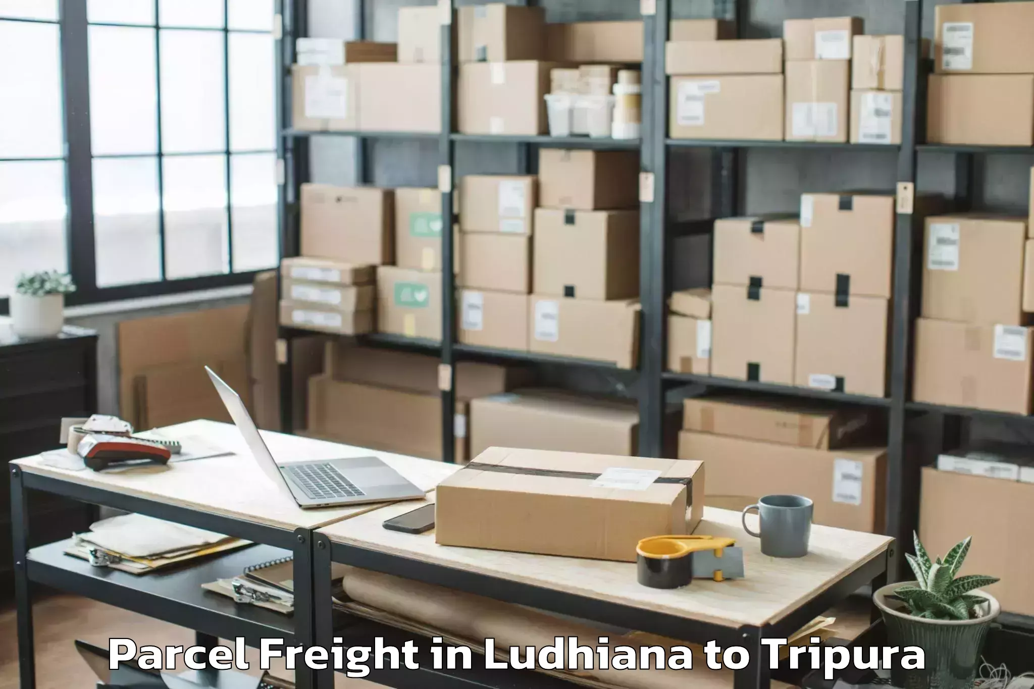 Book Ludhiana to Hezamara Parcel Freight